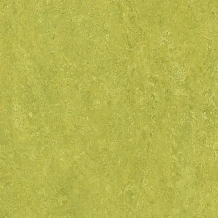 Linoleum – realizace ATRIPO, fotografie 1